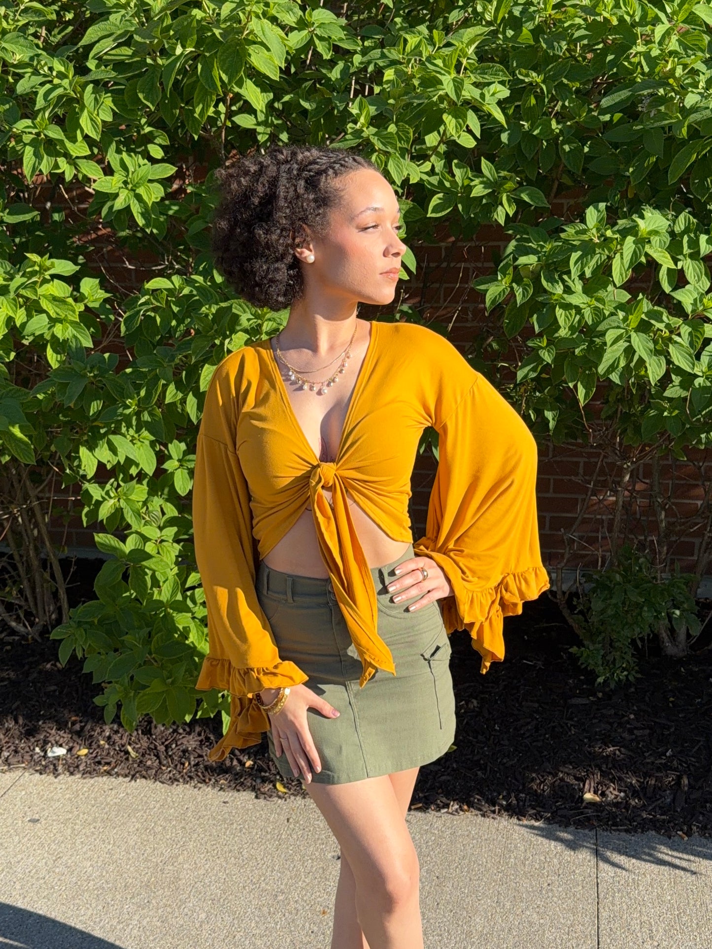 Flared Ruffle Tie Blouse